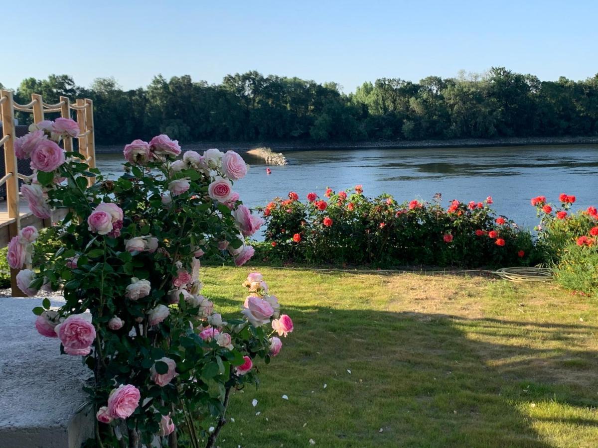 Maisons Au Bord De La Loire - Maison Paradis & Maison Bonheur Au 248 Riverside Le Fosse-Neuf 외부 사진